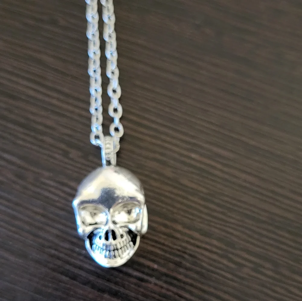 New unisex skull pendant and chain